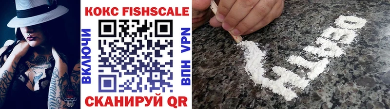 где продают наркотики  МЕГА tor  Cocaine FishScale  Суоярви 