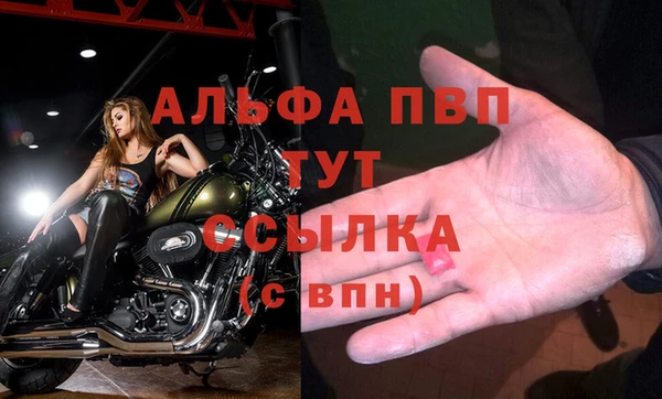стаф Абдулино