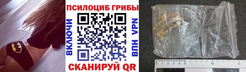 Псилоцибиновые грибы Psilocybine cubensis  omg зеркало  Суоярви 